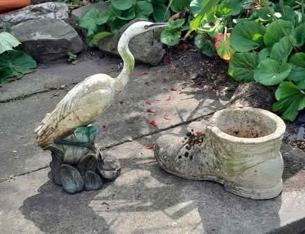 Photo of free garden ornaments (Elworth CW11) #1