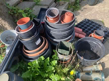 Photo of free variety of garden pots, bird feeders (Hastings TN35) #2