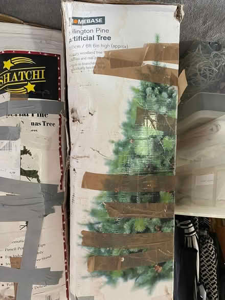 Photo of free Christmas (Nunthorpe TS7) #2