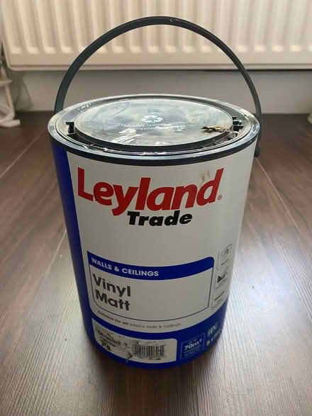 Photo of free White house paint (N16) #1