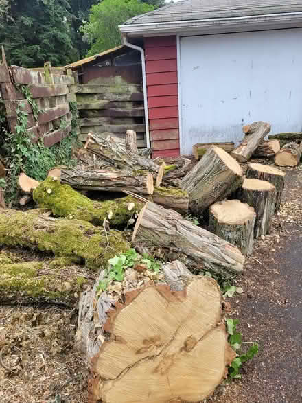 Photo of free wood (Northgate) #2