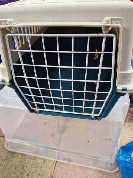 Photo of free Small Pet Carrier (Luton LU2) #3