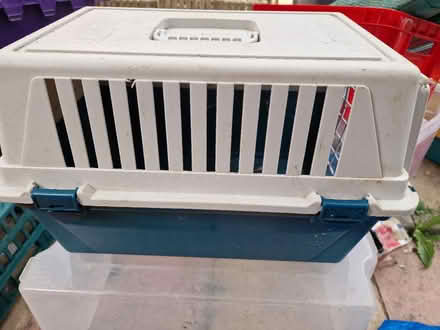 Photo of free Small Pet Carrier (Luton LU2) #1