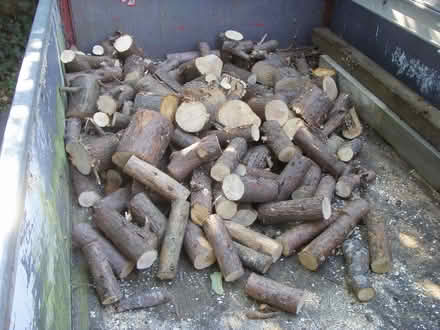 Photo of free fir logs (elmstead market CO7) #1