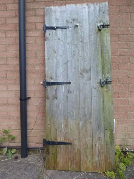 Photo of free Shed door (Blackbird Leys OX4) #2