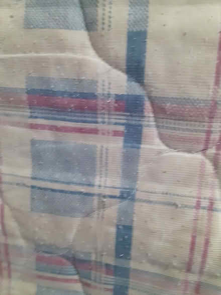 Photo of free Single bed mattress (B21) #3