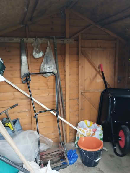 Photo of free Garden shed (Hastings TN34) #3