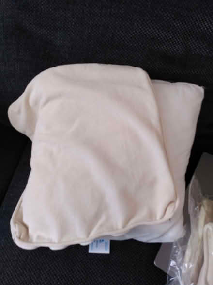 Photo of free 4 ivory cushion pads and covers (Earlham NR4) #1