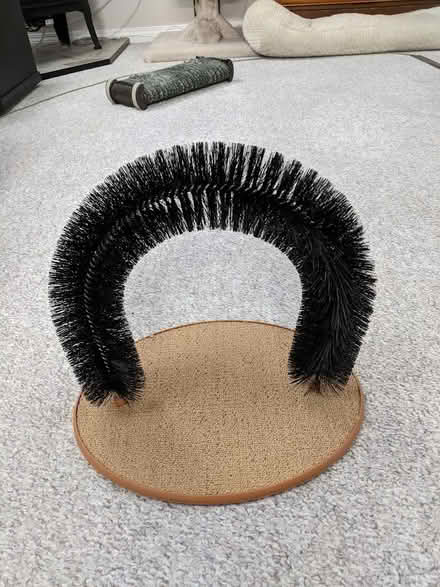 Photo of free Cat Arch (Inglewood area, Edmonton) #1
