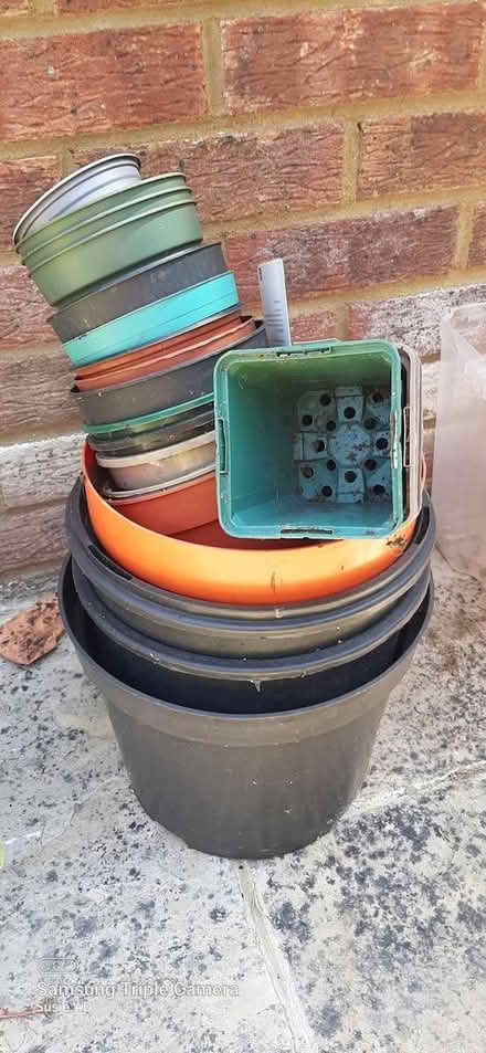 Photo of free plastic plant pots & trays (Queen's Park, Billericay.) #1