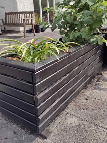 Photo of free Wooden planter (Sheffield S10) #1