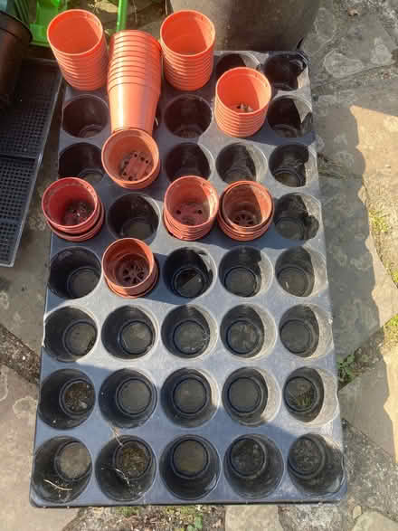 Photo of free variety of garden pots, bird feeders (Hastings TN35) #3