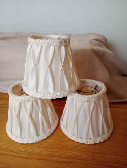 Photo of free Clip on Lampshades (Moor Allerton LS17) #1