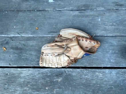 Photo of free Boys baseball glove (Poughquag, NY) #1