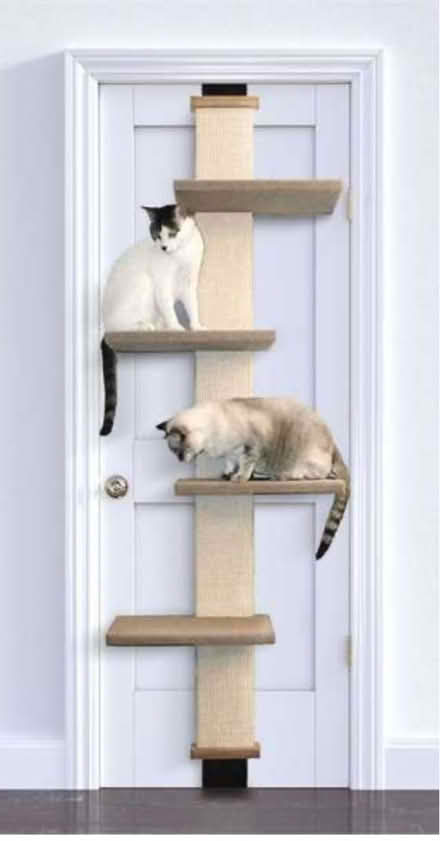 Photo of free Door cat climber (Highbury and Islington) #1