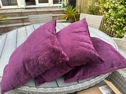 Photo of free Cushions (SK4) #1