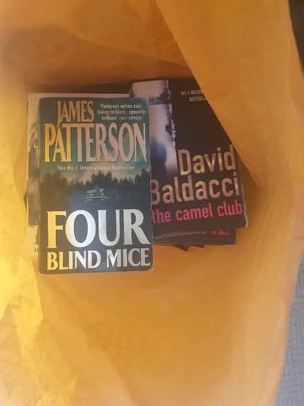 Photo of free Crime Novels and Thrillers (Tilehurst) #2