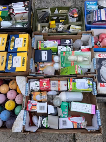 Photo of free Assortment of light bulbs all different fittings (Hales Bridge RH5) #4