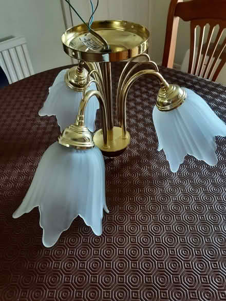 Photo of free Pair of ceiling light clusters (Charlton Kings GL52) #4