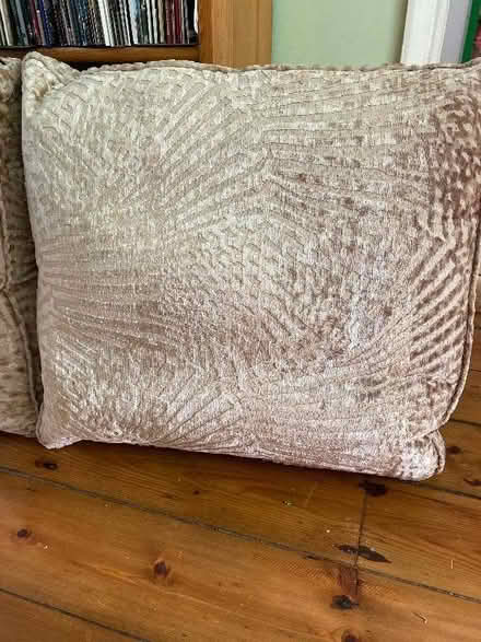 Photo of free 3 good sized cushions (Letchworth SG6) #1