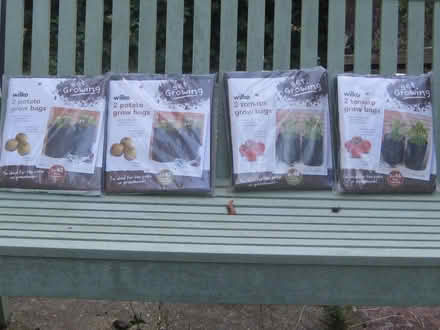 Photo of free Grow Bags (Springfield, Chelmsford, CM1) #1