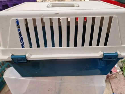 Photo of free Small Pet Carrier (Luton LU2) #4