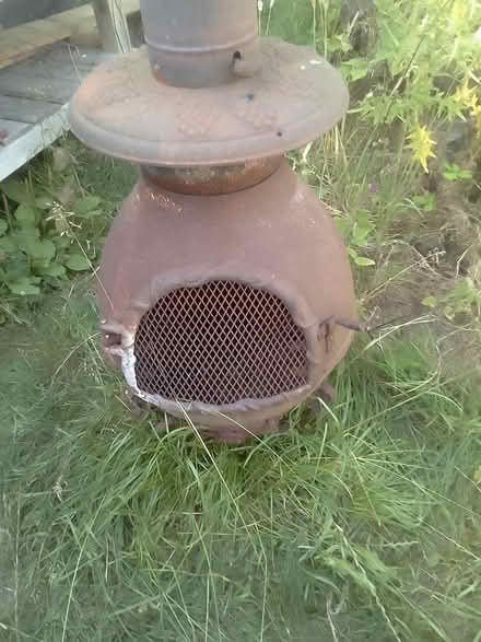 Photo of free Garden chimaera (Rushwick WR2) #2