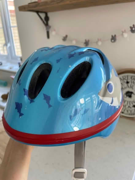 Photo of free Helmet - size 44-50cm (CM1 Beaulieu) #1