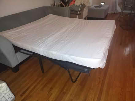 Photo of free Queen-sized sofa bed (Brooklyn, Ditmas Park) #3