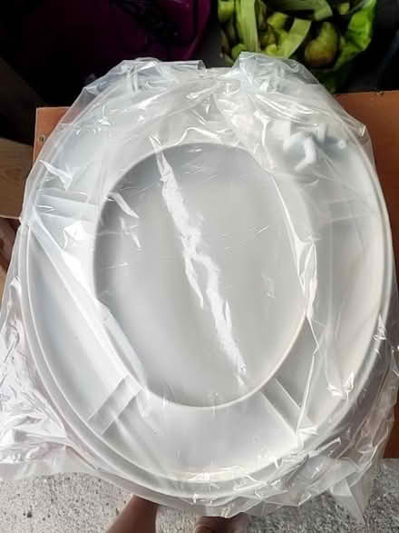 Photo of free Toilet seat (Endmoor LA7) #2