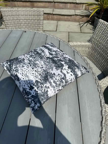 Photo of free Black and white cushions (SK4) #1