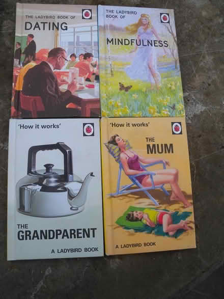 Photo of free ladybird books (Derby DE23) #1