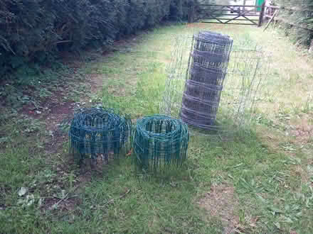 Photo of free garden fencing (Kilmington) #1