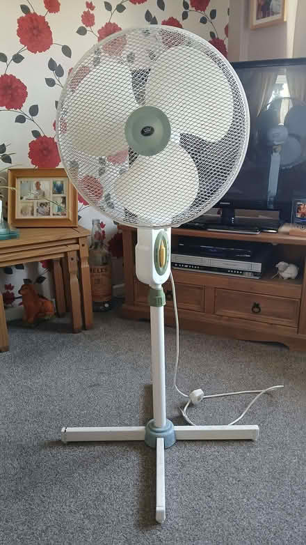 Photo of free Floor standing Fan (Bowerhill SN12) #1