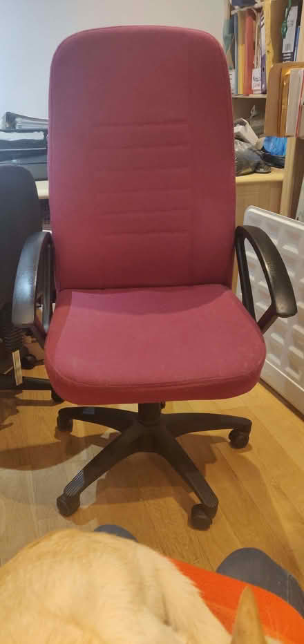 Photo of free Office Chair (Wandsworth Common SW12) #1