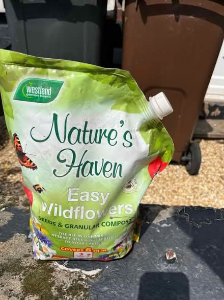 Photo of free Wild flower mix (Woodseats S8) #1