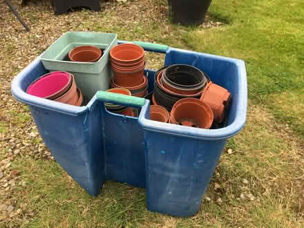 Photo of free Assorted Plant pots (Coedpoeth LL11) #1