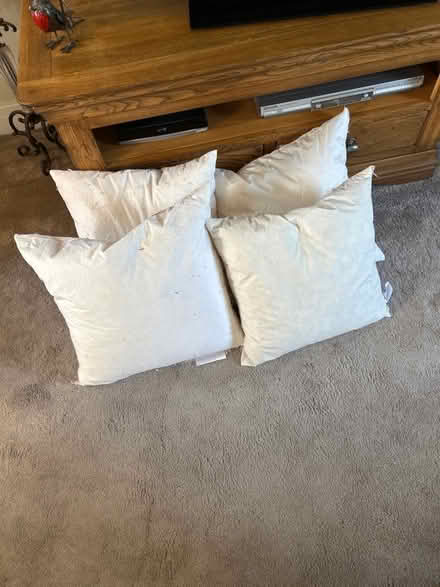Photo of free 4 feather cushions (Didcot OX11) #1