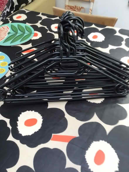 Photo of free Clothes hangers (Oldfield Park) #1
