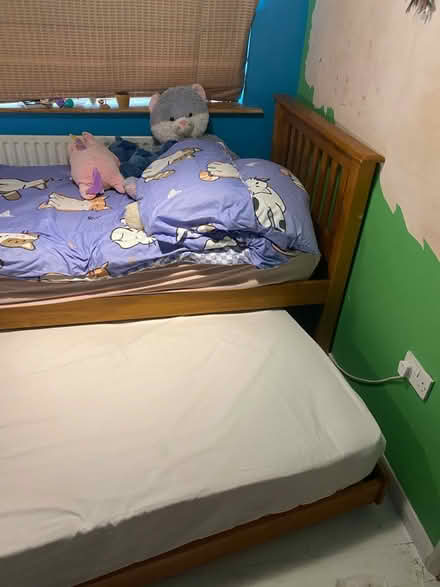 Photo of free Single bed and trundle(no mattress) (Kendal LA9) #1