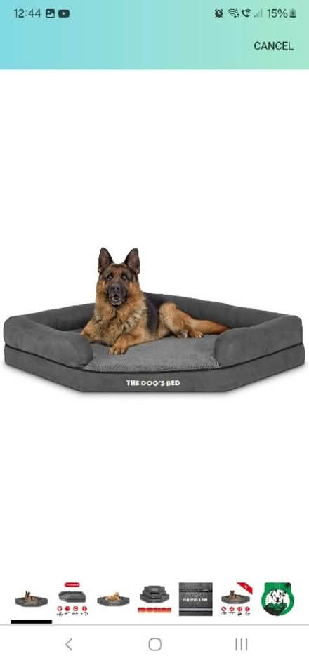 Photo of free Corner dog bed. XL (Chester CH2) #1