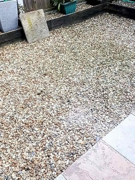 Photo of free Golden gravel (Farington PR25) #1