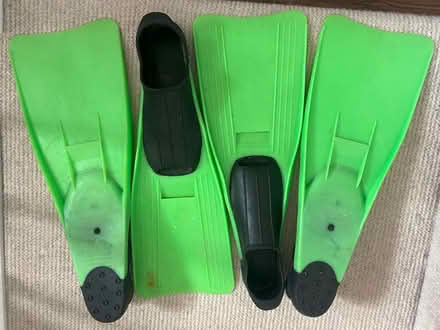 Photo of free 2 pairs of Flippers / Fins (North Bersted, PO21) #1