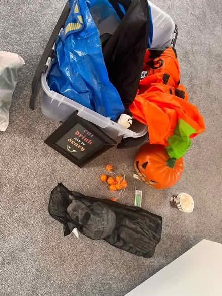 Photo of free Halloween decorations (Br2 Shortlands) #3