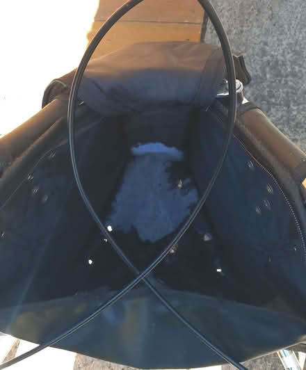 Photo of free 3 wheeled folding shopping trolley/ walker (Victoria Park HP20) #3