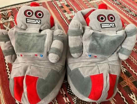 Photo of free Robot Slippers (Surbiton KT5) #1