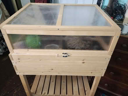 Photo of free Plant starter or indoor garden (Uptown Kingston) #2