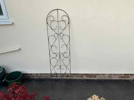 Photo of free Plant Climbing Frame (Warminster BA12) #1