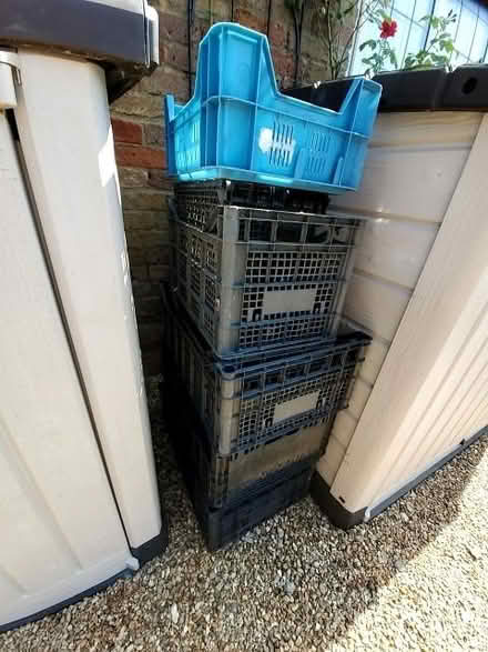 Photo of free Garden/Gardening items: Crates, trays, bamboos, pots, mattin (Aston Clinton HP22) #1