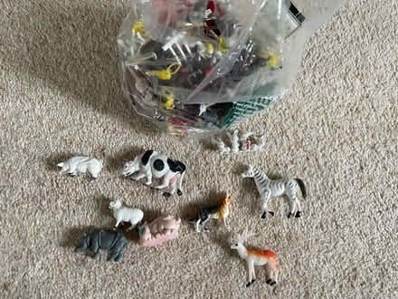 Photo of free Farm and zoo animals (Ellastone DE6) #1